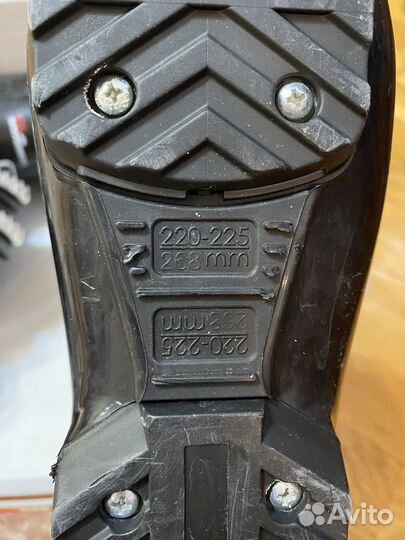 Горные лыжи