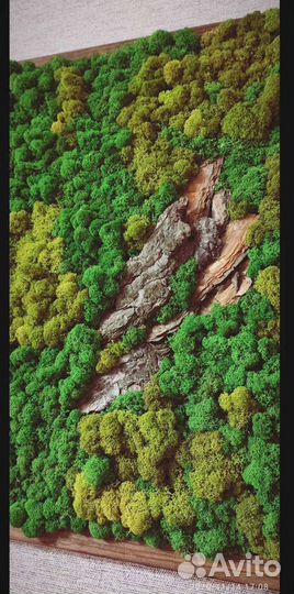 Панно из мха фитокартина фитопанно