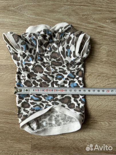 Одежда для животных