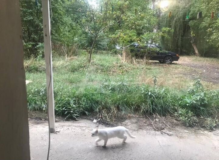 3-к. квартира, 58 м², 1/4 эт.