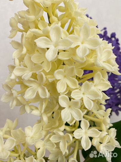 Остатки Сирень и Тюльпаны искусственные