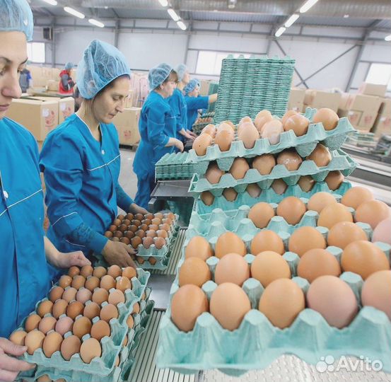 Упаковщик/ца Вахтой в Петербурге Транспорт