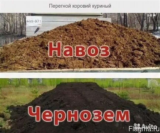 Навоз коровий конский куриный(перегной)