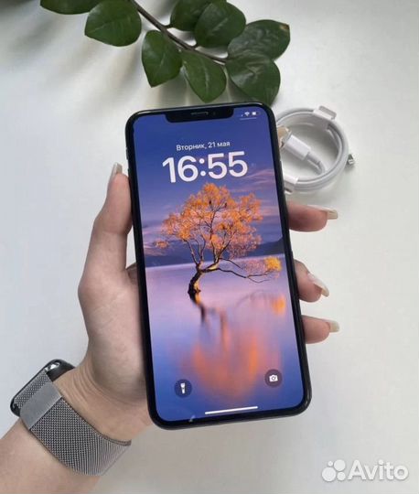 iPhone Xs Max, 256 ГБ