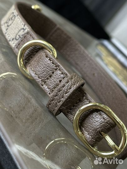 Ошейник для собак Gucci