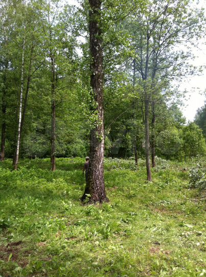 Участок 10 сот. (СНТ, ДНП)