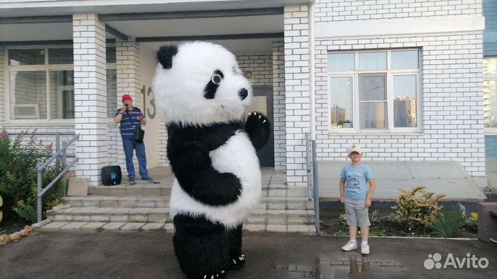 Весёлое экспресс поздравление Панды с дядей Колей