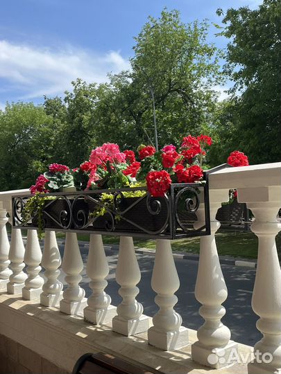 Мобильная съемка