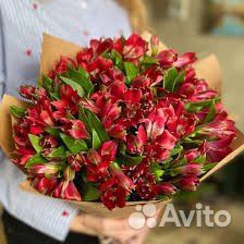 Альстромерия цветы букеты