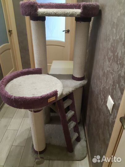 Всё для кошек