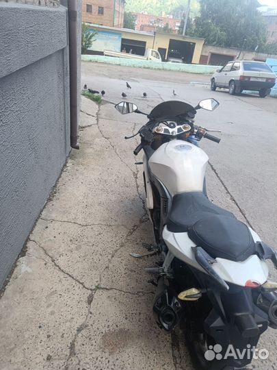 Chituma falcon speedfire 250