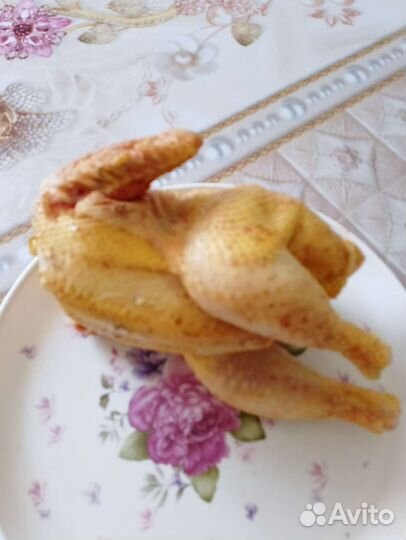 Куры домашние тушки