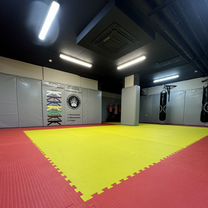Аренда спортивного зала для единоборств, Кемерово