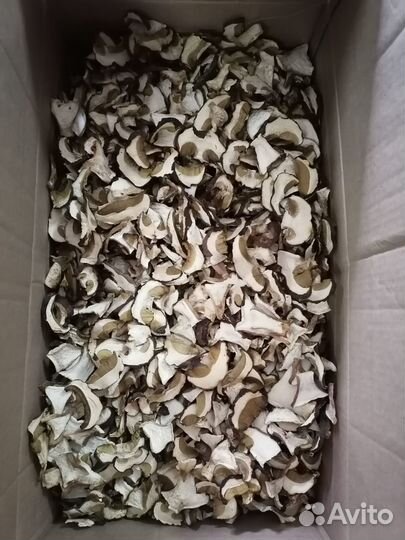 Сухой гриб (белый гриб)