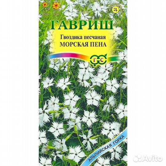Гвоздика песчаная Морская пена