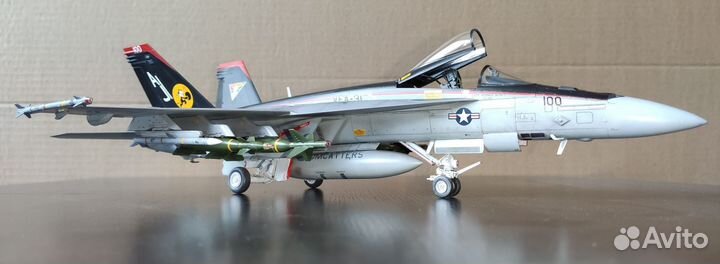 Модель самолёта F/A-18E 1/48