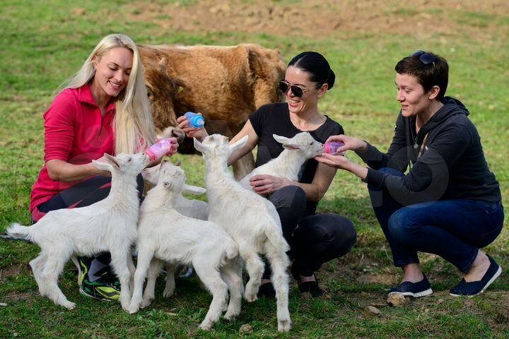 Участок 31,5 га (СНТ, ДНП)