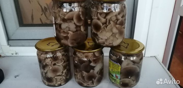 Грибы опята маринованные