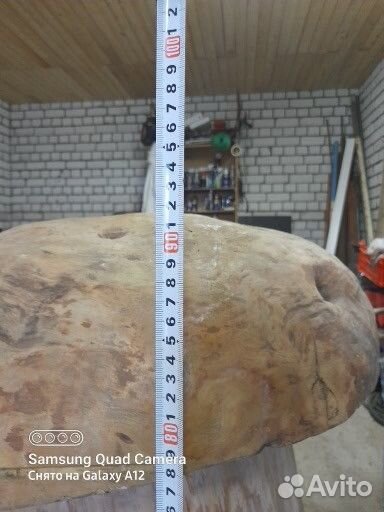 Гриб инсталляция