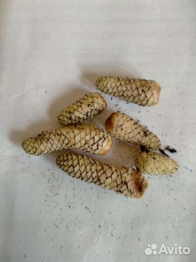 Ахименес Жизель (ризомы)