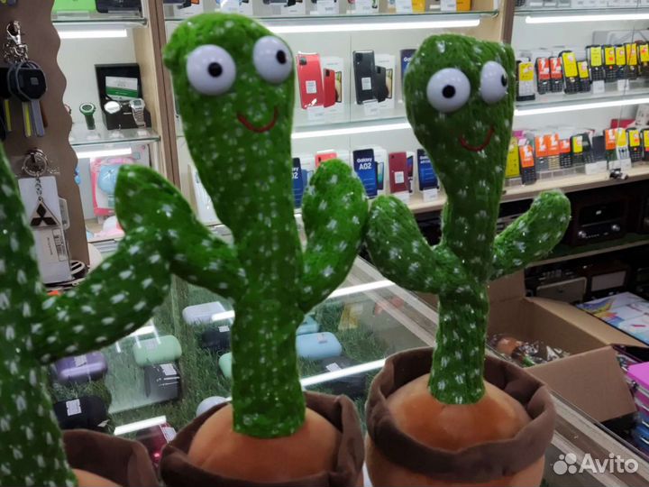 Танцующий кактус