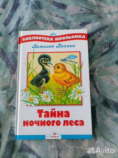 Детские книги для внеклассного чтения