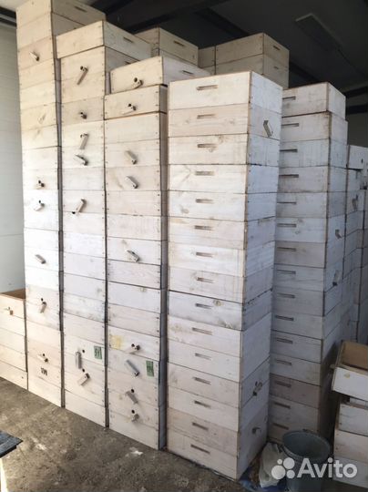 Ульи для пчёл