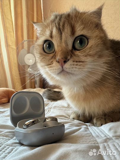 Samsung Galaxy Buds Pro