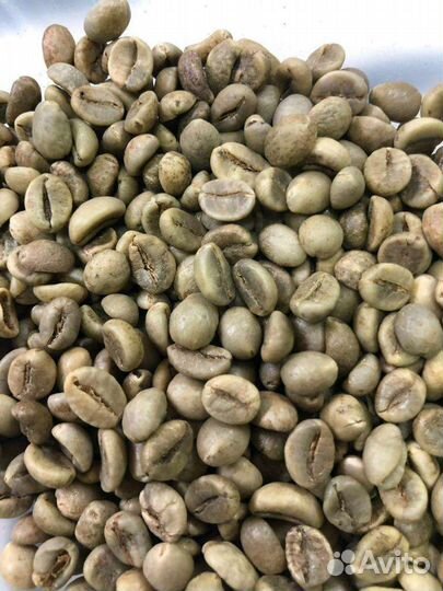 Зелёный кофе в зёрнах опт