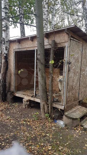 Дом 320 м² на участке 12 га