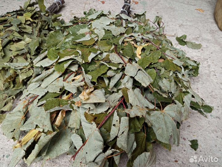 Банные веники