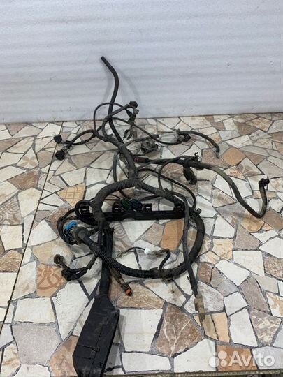 Проводка двс Ford Focus хэтчбэк 1.6 hwdb (100 Л.С)