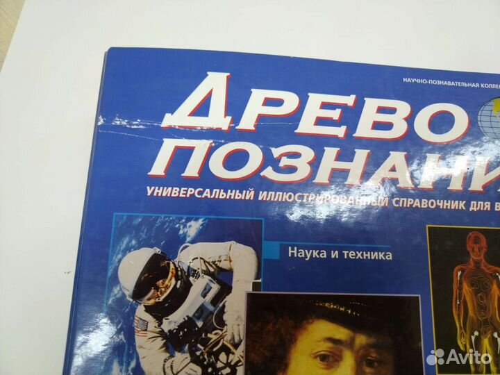 Папка на кольцах А4 скоросшиватель Древо познания