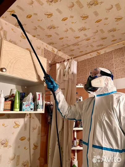 Уничтожение клопов и тараканов. Частный мастер