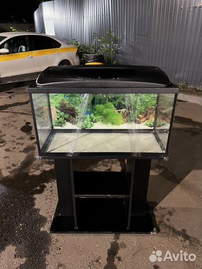 Аквариум 60 литров хороший