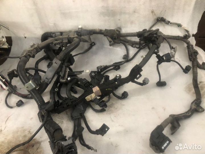 Проводка двигателя Toyota Camry V70 A25A