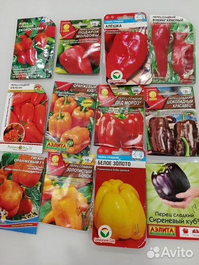 Рассада помидор, перцы и балажаны