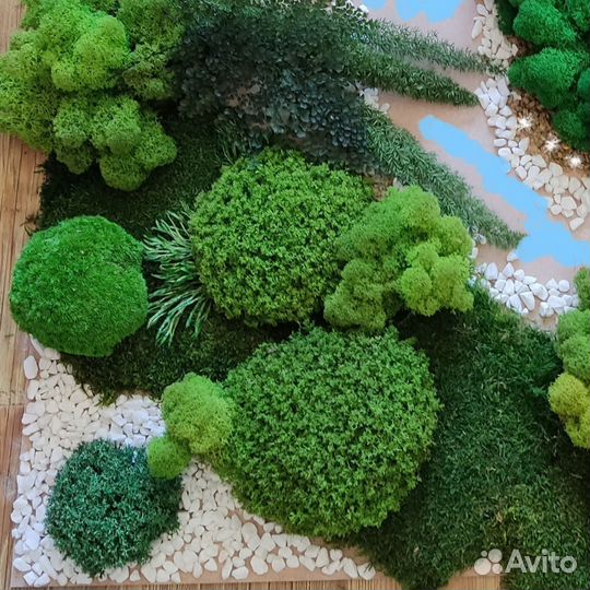 Стабилизированный мох пластовой