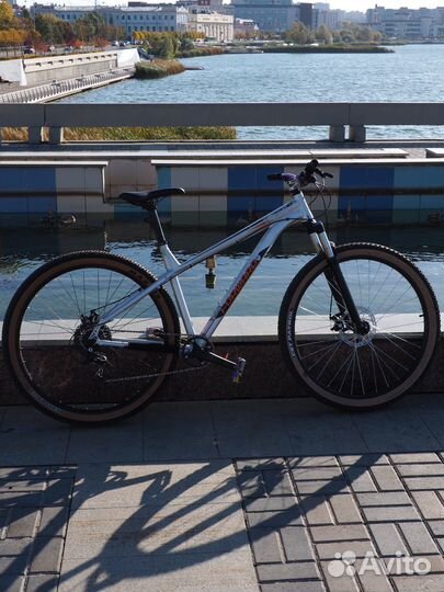 Forward next x disk 2021