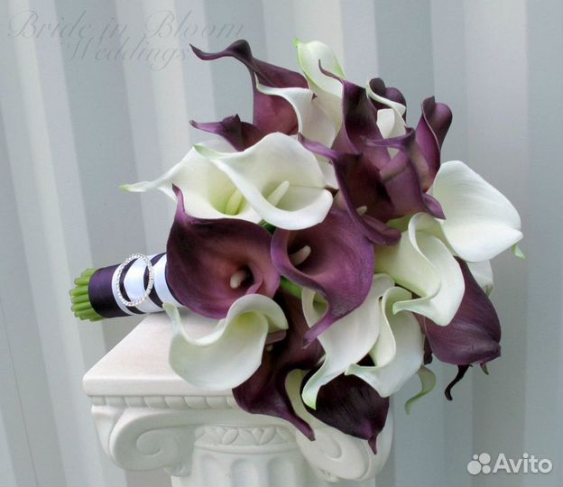 Букет из калл 11 21 31 41 51 101 Доставка