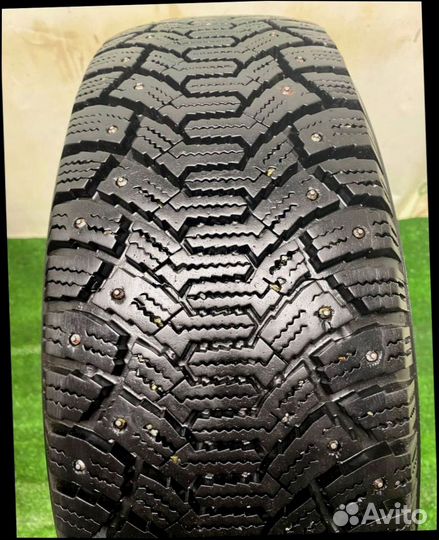 Cordiant Polar 195/65 R15