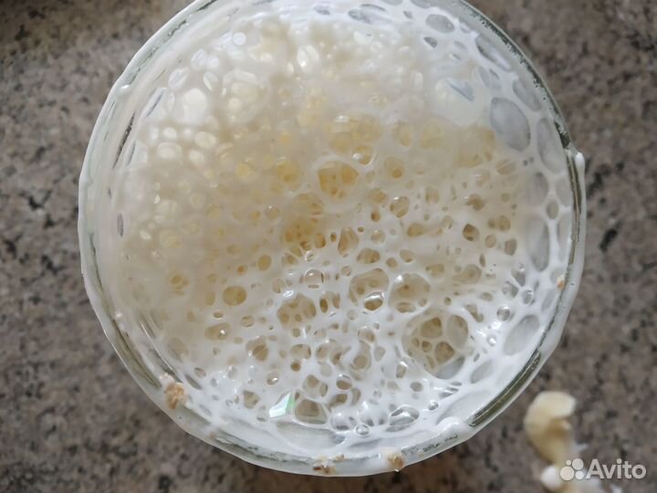 Закваска для хлеба,которую не нужно кормить