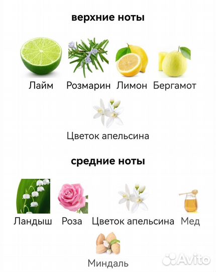 Rock & Raï Franck Boclet для мужчин и женщин