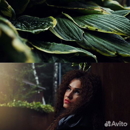 Фотограф и Видеограф