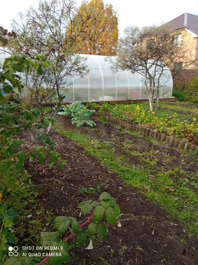 Дом 20 м² на участке 4,8 сот.