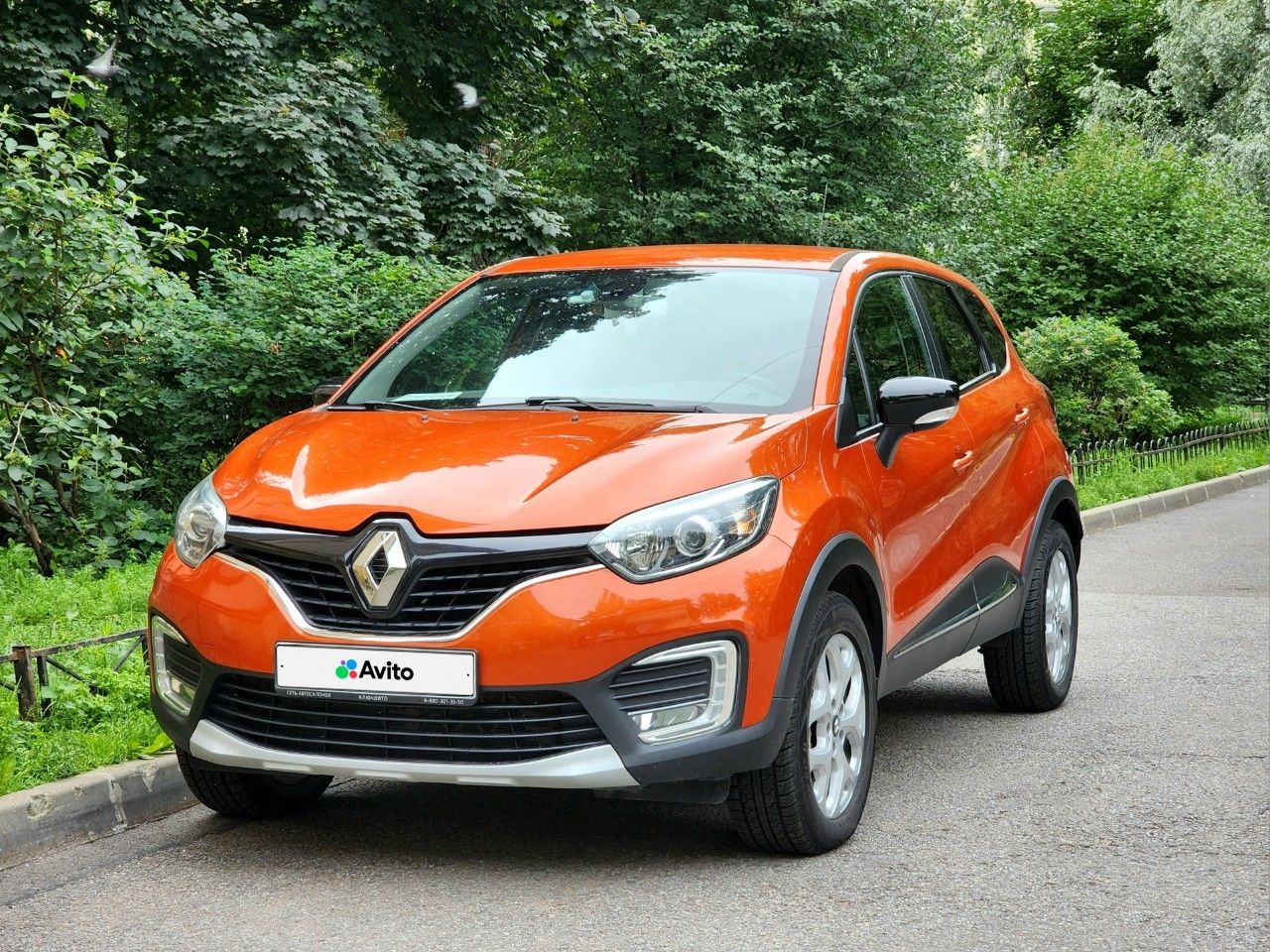 Renault Kaptur: фото владельца