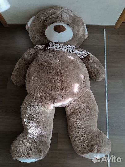 Плюшевый медведь