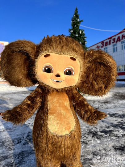 Экспресс-поздравление Чебурашка, ростовые куклы