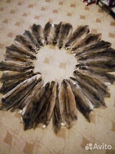 Выделка шкур - качественно