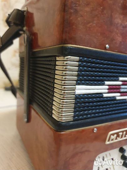 Гармонь чайка